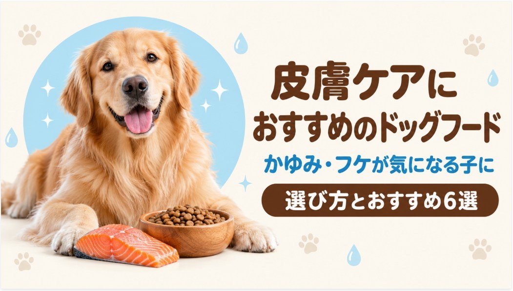 皮膚ケアにおすすめのドッグフード