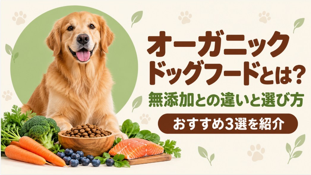 オーガニックドッグフードとは？無添加との違いと選び方