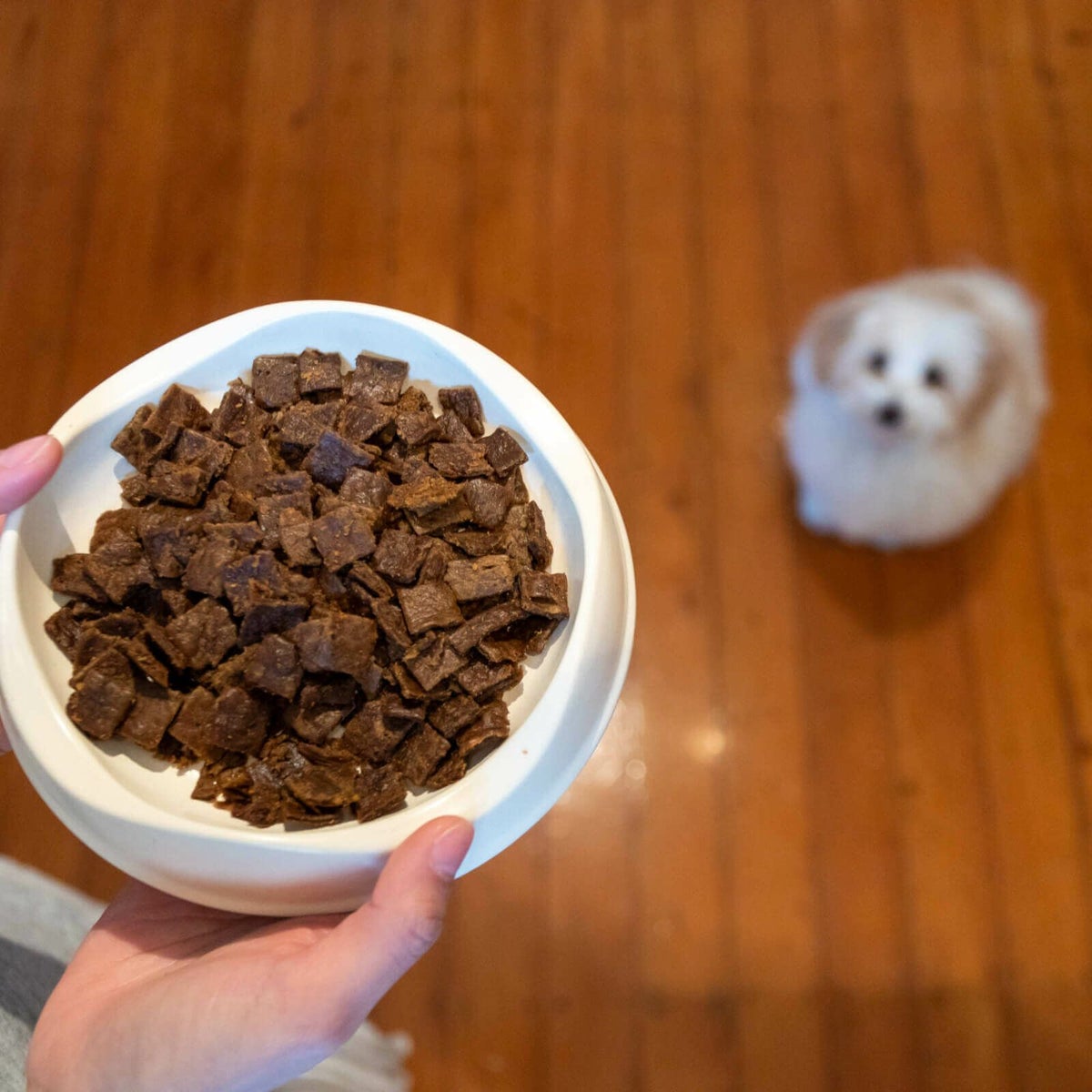 エアドライ・ドッグフード　ラム