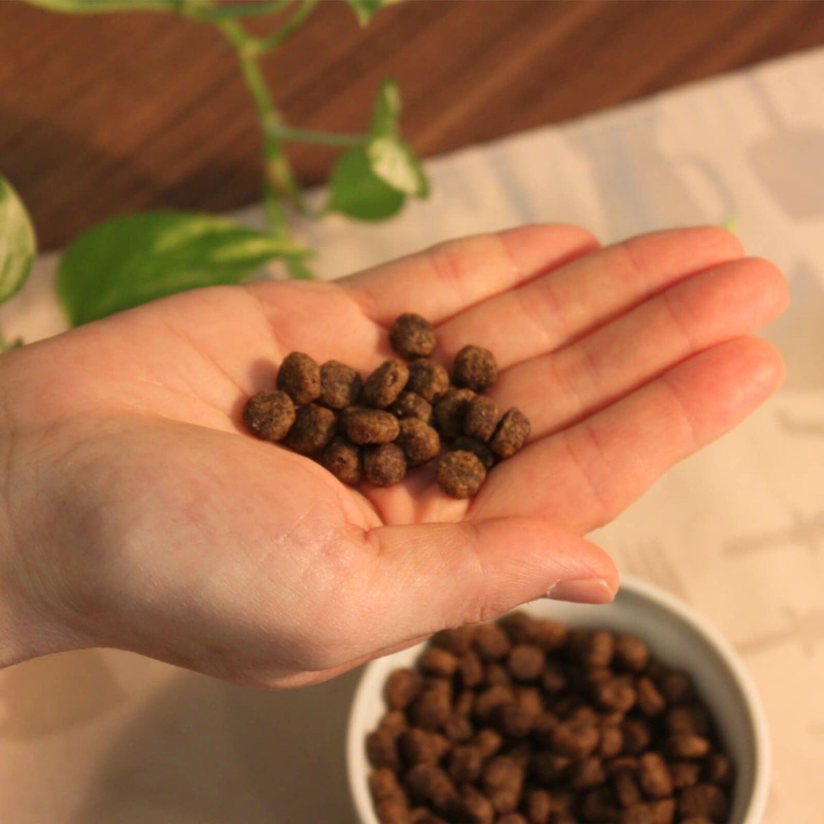 フィッシュ4ドッグ　粒